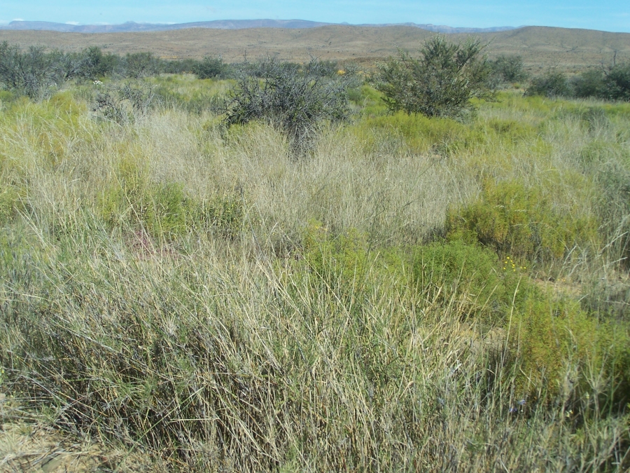 Commercial Property for Sale in Laingsburg Rural Western Cape